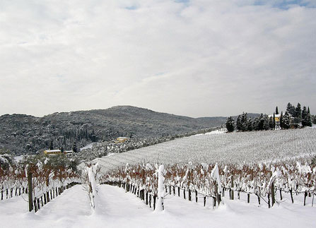 festa di fine anno in Toscana