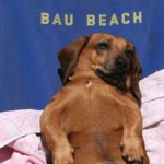 bau-beach