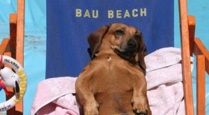 bau-beach