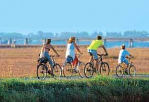 Itinerari in bicicletta a Cavallino