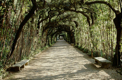 Giardini di Boboli