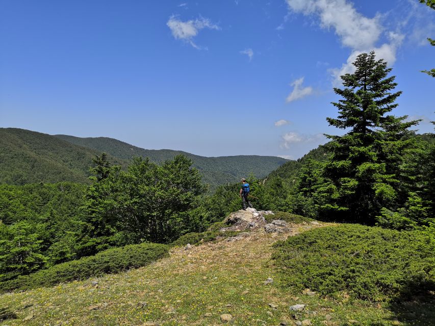 Escursione dell'Aspromonte alla Vetta di Montalto